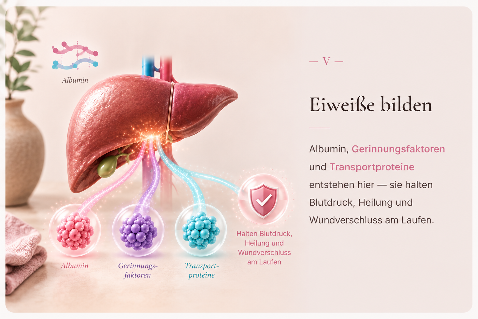 Eiweiße bilden