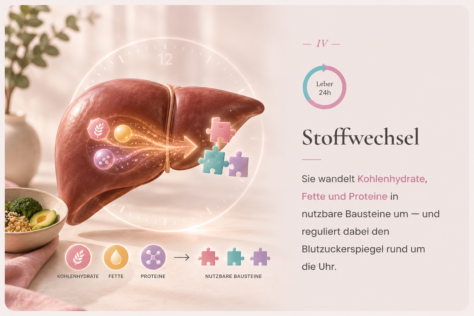 Stoffwechsel